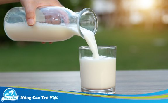 SỮA TƯƠI KHÔNG ĐƯỜNG: KHÁM PHÁ 6 LỢI ÍCH TUYỆT VỜI CHO SỨC KHỎE VÀ LÀN DA