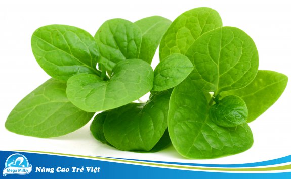 RAU MỒNG TƠI THANH MÁT NGÀY HÈ NHƯNG CẦN LƯU Ý NHỮNG ĐIỀU NÀY