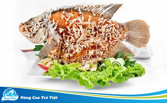 LỢI ÍCH DINH DƯỠNG TỪ CÁ TAI TƯỢNG