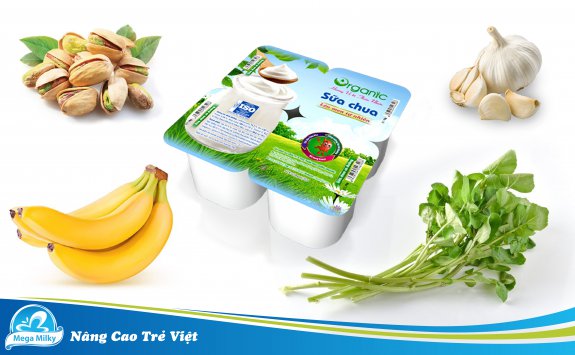 5 THỰC PHẨM GIÚP CẢI THIỆN HỆ TIÊU HÓA