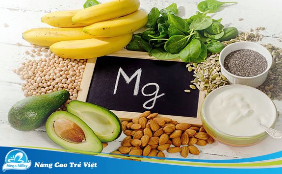 5 THỰC PHẨM GIÀU MAGIÊ GIÚP XUA TAN KHÓ NGỦ HIỆU QUẢ