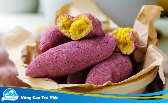 HÀM LƯỢNG DINH DƯỠNG VÀ LỢI ÍCH SỨC KHỎE TỪ KHOAI LANG