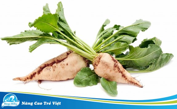 CỦ CẢI ĐƯỜNG - LỢI ÍCH CHO SỨC KHỎE